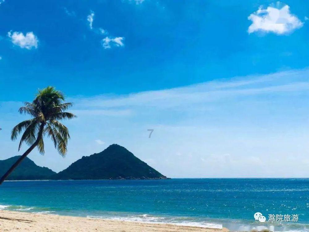 救援海盗章鱼