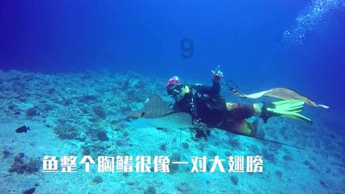 淘气兔救援